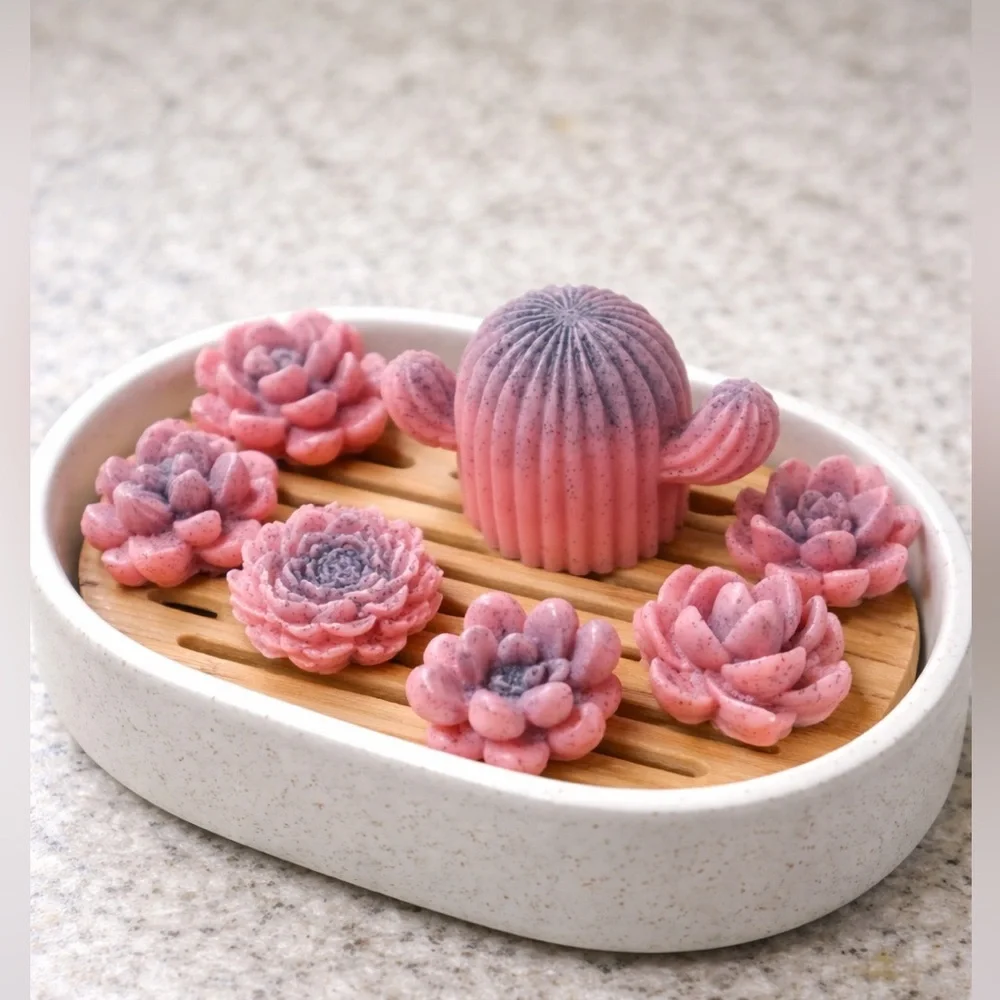 7pc cherry watermelon soap set succulents & cactus shea butter based